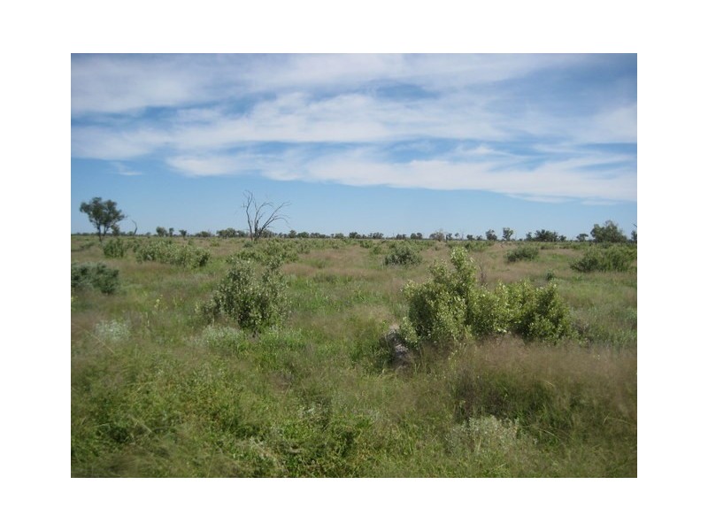 Waratah, Brewarrina NSW 2839