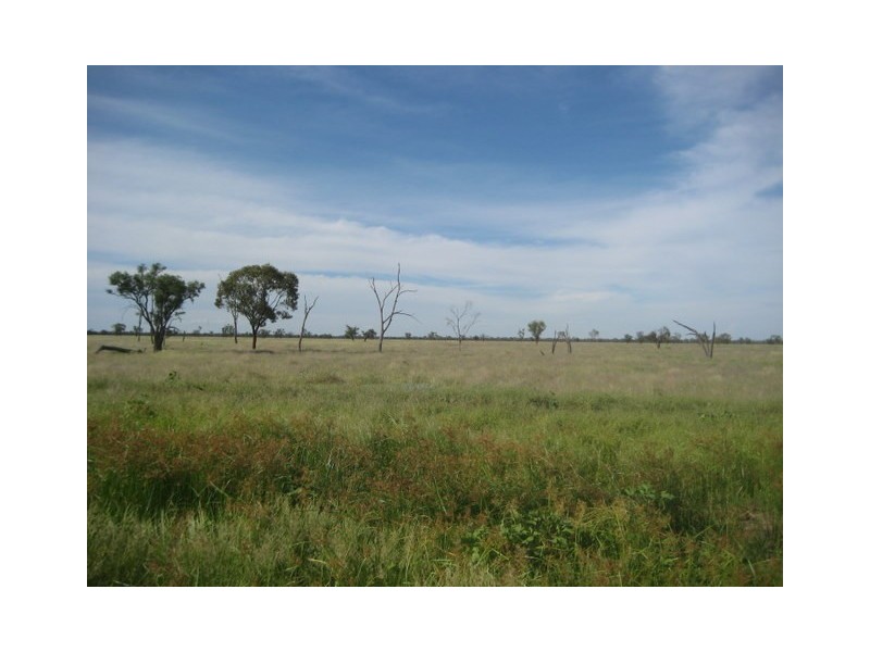 Waratah, Brewarrina NSW 2839