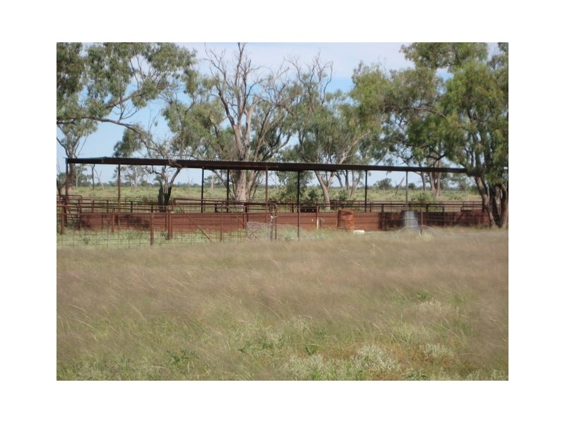 Waratah, Brewarrina NSW 2839