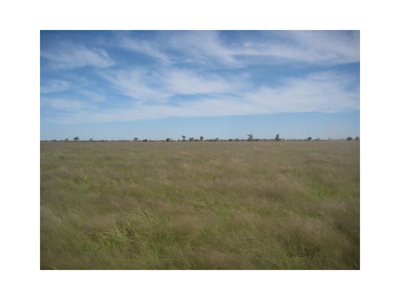 Waratah, Brewarrina NSW 2839