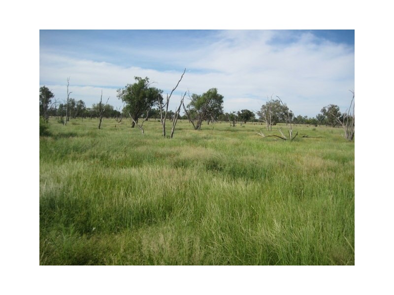 Waratah, Brewarrina NSW 2839