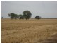 Walgett NSW 2832