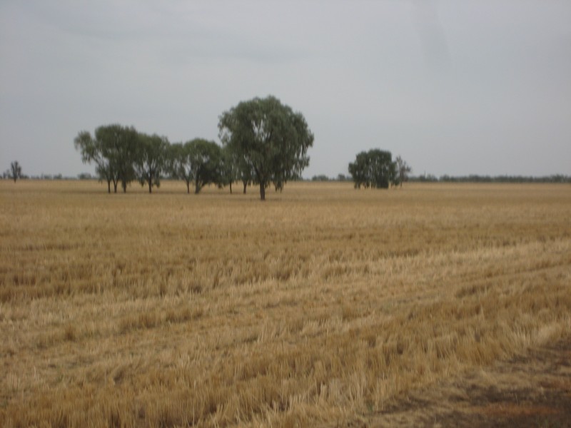 Walgett NSW 2832