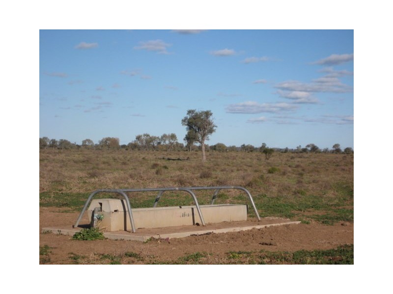 Walgett NSW 2832