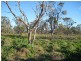 Walgett NSW 2832