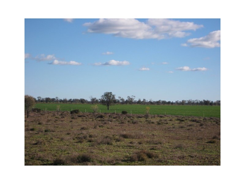 Walgett NSW 2832