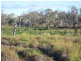 Walgett NSW 2832