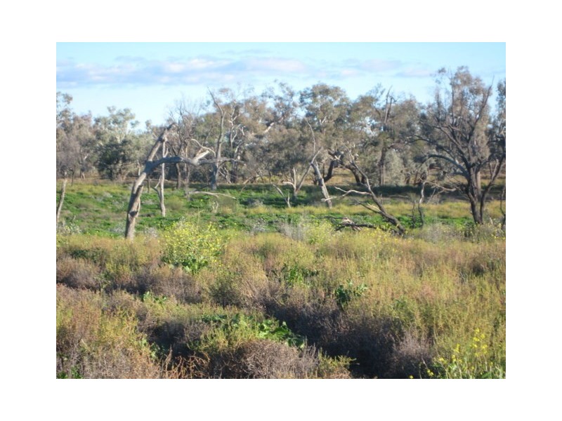 Walgett NSW 2832