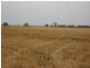Walgett NSW 2832