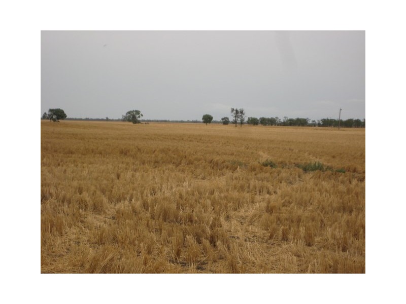 Walgett NSW 2832