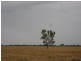 Walgett NSW 2832