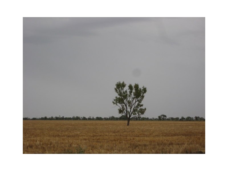 Walgett NSW 2832