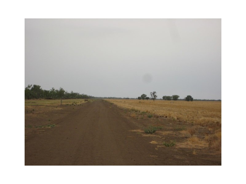 Walgett NSW 2832