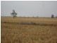 Walgett NSW 2832