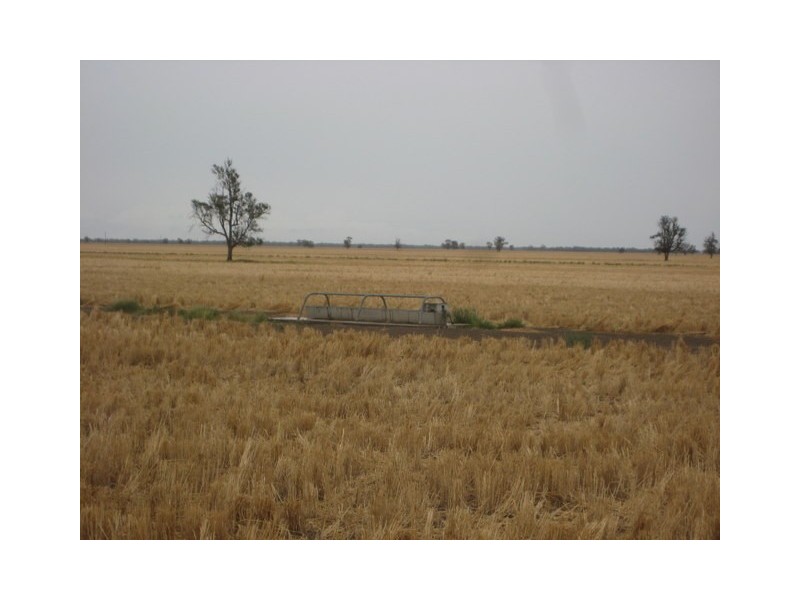 Walgett NSW 2832