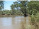 Lots 783/784 Come-By-Chance Road, Walgett NSW 2832
