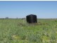 Lots 783/784 Come-By-Chance Road, Walgett NSW 2832
