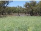 Lots 783/784 Come-By-Chance Road, Walgett NSW 2832