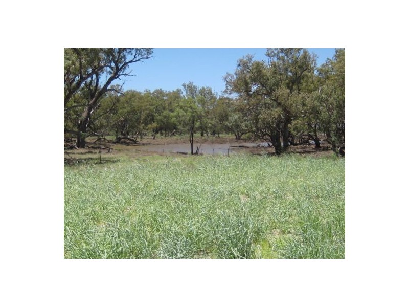 Lots 783/784 Come-By-Chance Road, Walgett NSW 2832