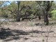 Lots 783/784 Come-By-Chance Road, Walgett NSW 2832