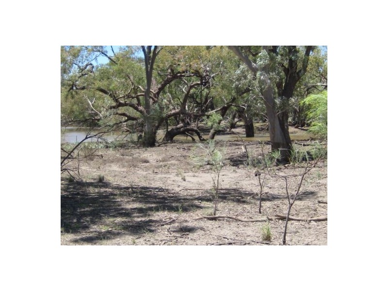 Lots 783/784 Come-By-Chance Road, Walgett NSW 2832