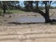 Lots 783/784 Come-By-Chance Road, Walgett NSW 2832