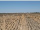 Lots 783/784 Come-By-Chance Road, Walgett NSW 2832