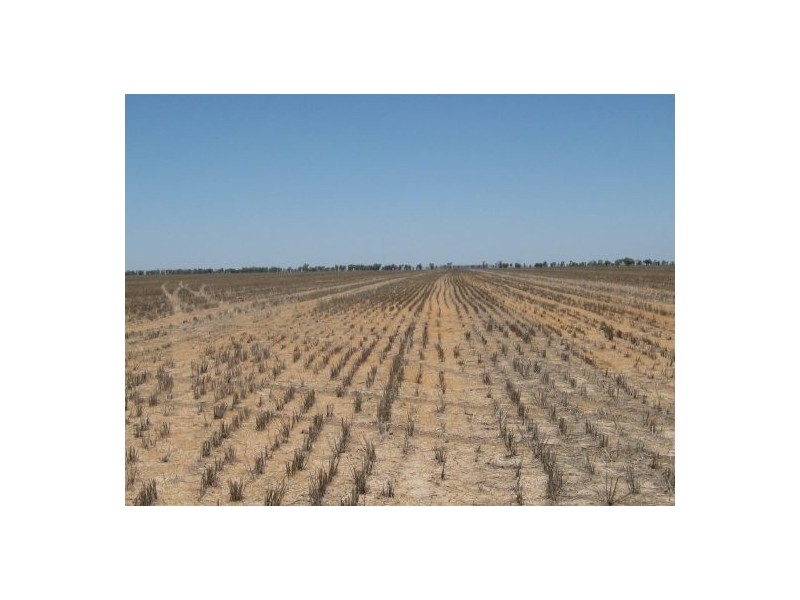 Lots 783/784 Come-By-Chance Road, Walgett NSW 2832
