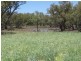 Lots 783/784 Come-By-Chance Road, Walgett NSW 2832