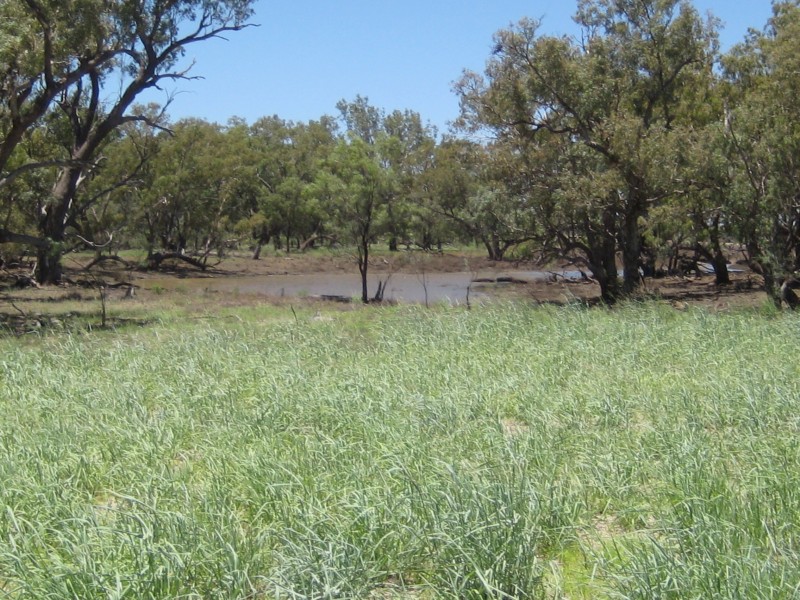 Lots 783/784 Come-By-Chance Road, Walgett NSW 2832