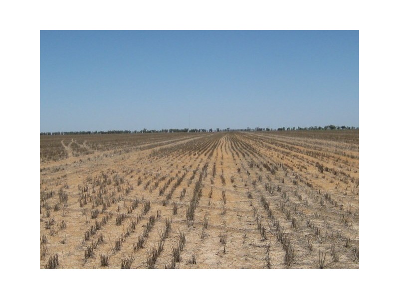 Lots 783/784 Come-By-Chance Road, Walgett NSW 2832