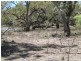 Lots 783/784 Come-By-Chance Road, Walgett NSW 2832