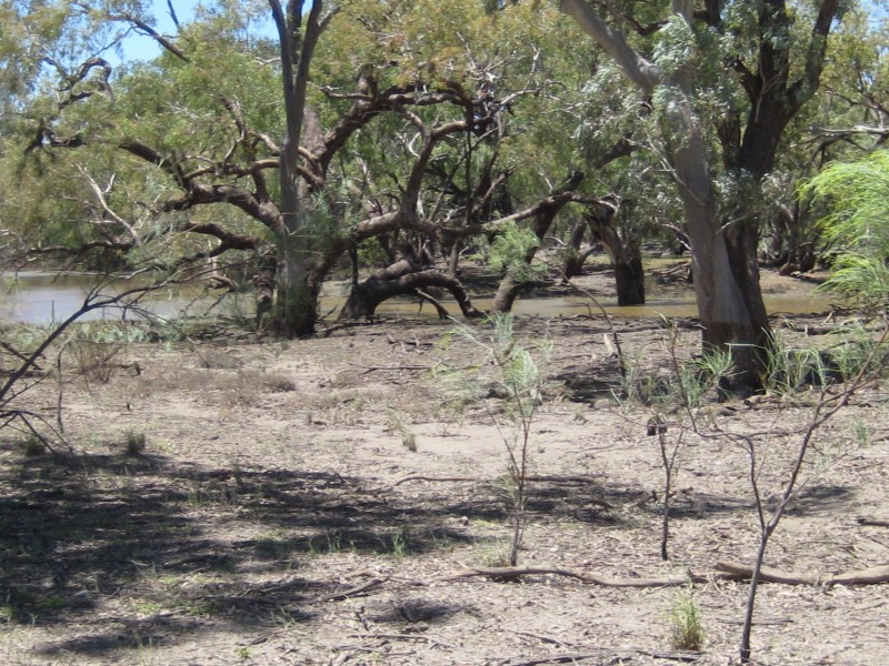 Lots 783/784 Come-By-Chance Road, Walgett NSW 2832