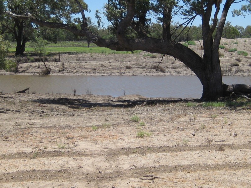 Lots 783/784 Come-By-Chance Road, Walgett NSW 2832