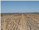 Lots 783/784 Come-By-Chance Road, Walgett NSW 2832