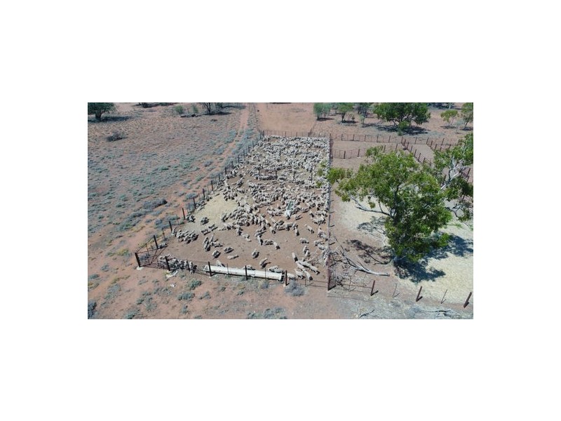 “ROXBURGH”, Walgett NSW 2832