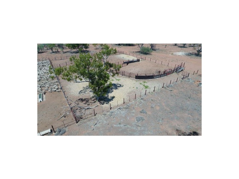 “ROXBURGH”, Walgett NSW 2832