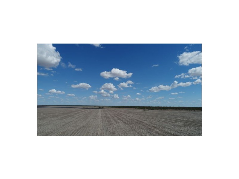 “ROXBURGH”, Walgett NSW 2832