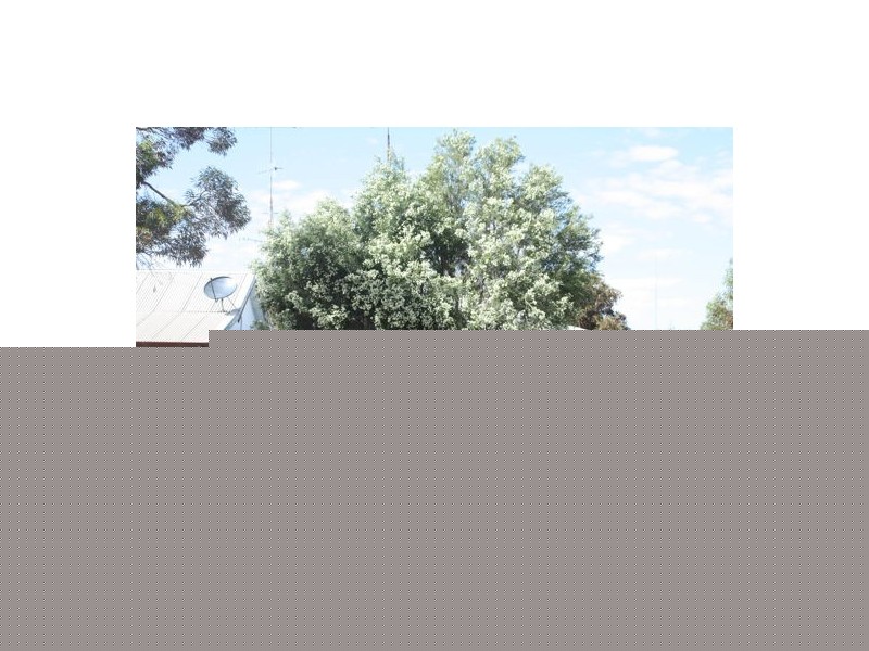 57 Euroka Street, Walgett NSW 2832