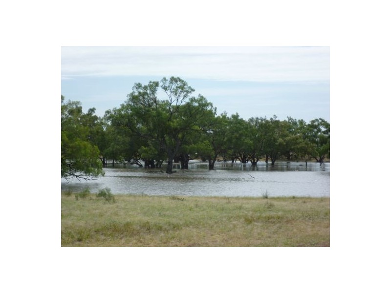 Collarenebri NSW 2833