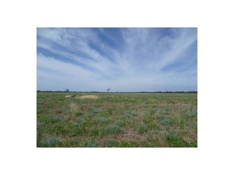 Collarenebri NSW 2833