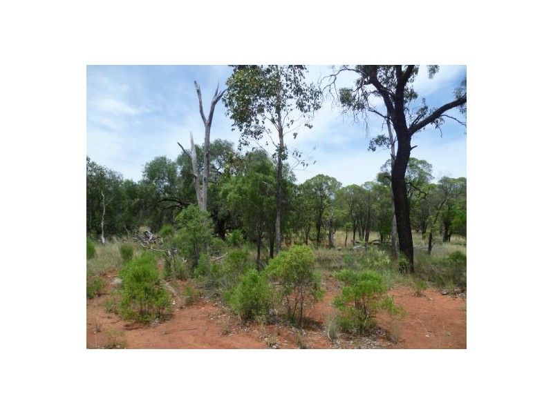 Collarenebri NSW 2833