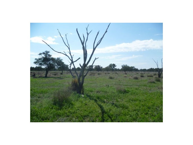 Lightning Ridge NSW 2834