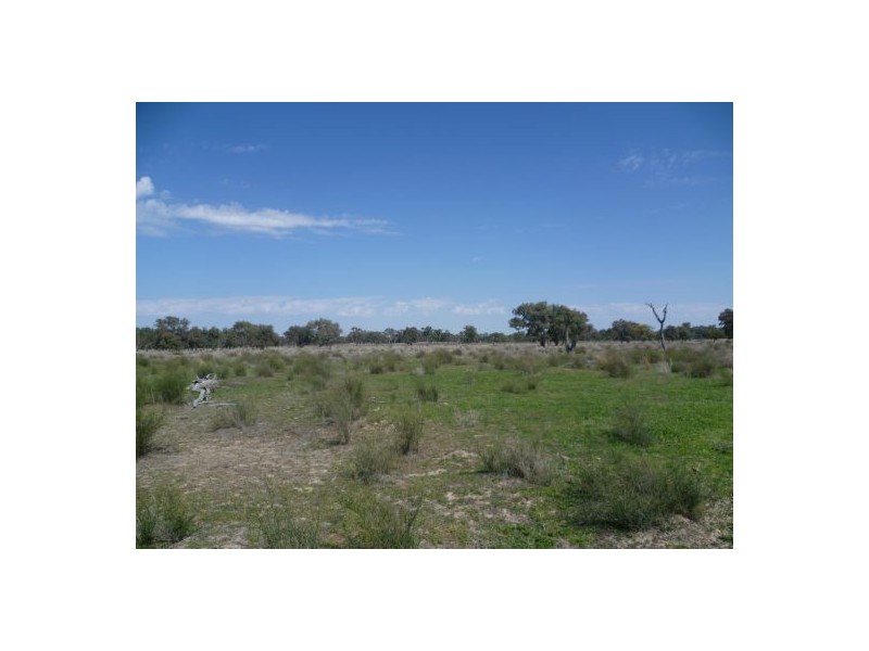 Lightning Ridge NSW 2834