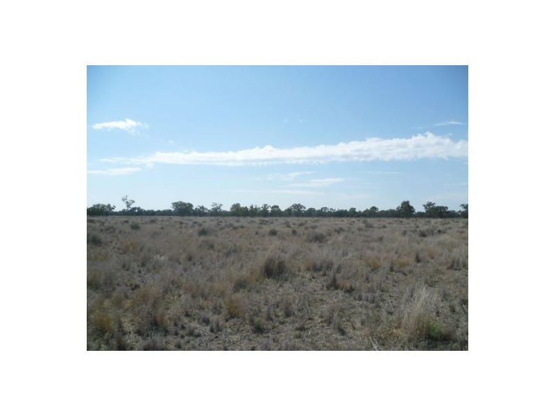 Lightning Ridge NSW 2834