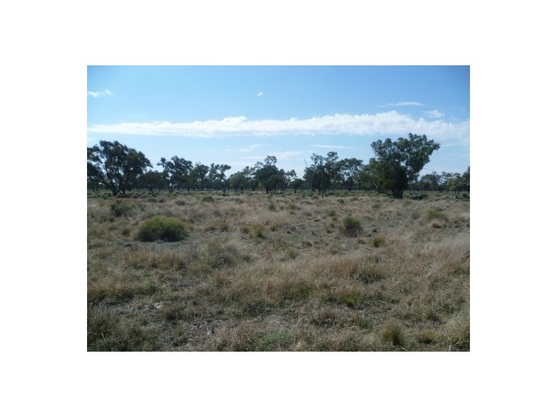 Lightning Ridge NSW 2834