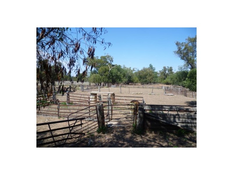 Lightning Ridge NSW 2834