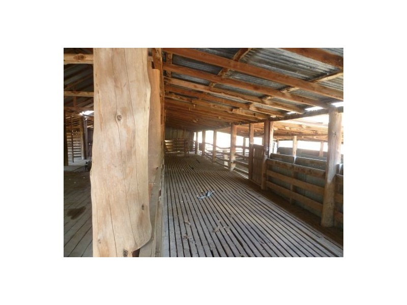 Lightning Ridge NSW 2834