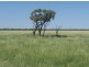 “MUTTABUN”, Lightning Ridge NSW 2834