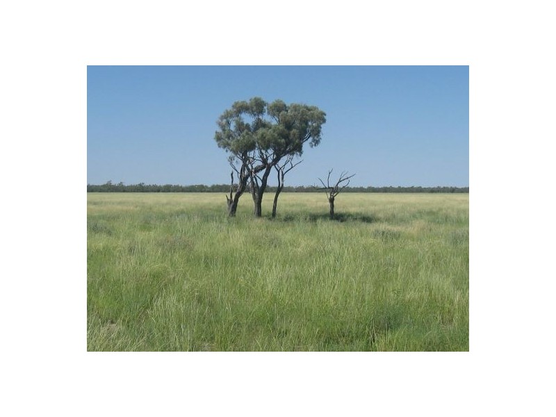 “MUTTABUN”, Lightning Ridge NSW 2834